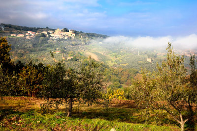 View on Montegonzi