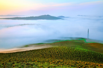 Rolling hills in the ground mist