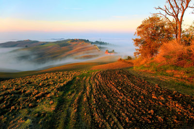 Fall colours on the hills