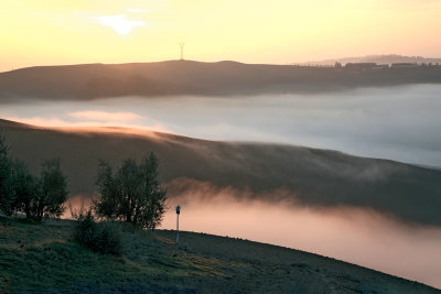 Red coloured ground mist