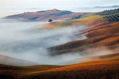 Early morning light