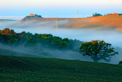 Fog Blankets