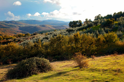 Umbrian Landscape