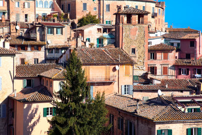 Houses of Perugia
