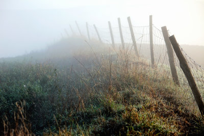 Fence