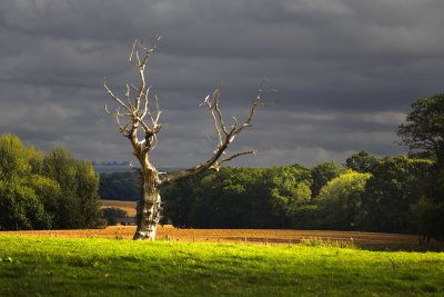 England - South West landscapes