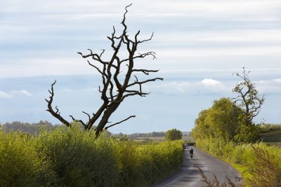 Country Road