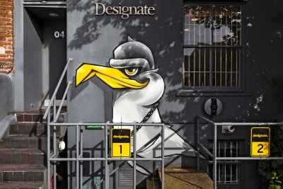 Designate the Seagull