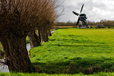 Dutch landscapes