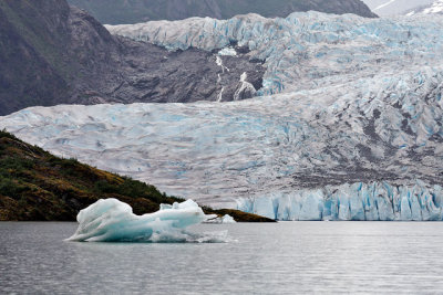 Mendenhall Glacier and small iceberg (growler)