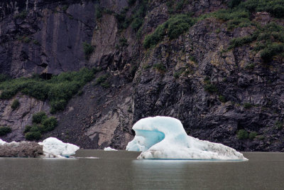 Small icebergs (growlers and bergy bits)  in Mendenhall Lake