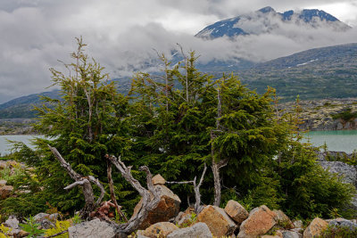 On the Klondike Highway