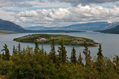 Bove Island in Windy Arm on Tagish Lake - on the Klondike Highway