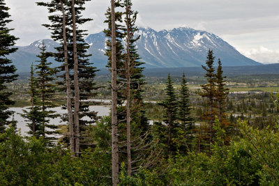 North of Fraser, on the Klondike Highway