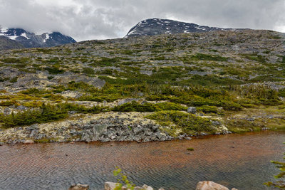 On the Yukon & White Pass Railway