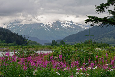 Seward