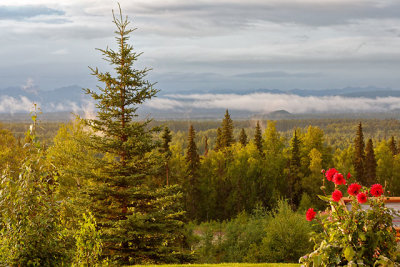 Looking west from the verandah of the Talkeetna Alaskan Lodge
