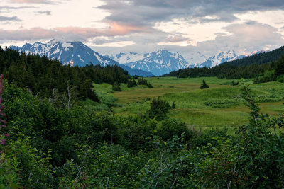 On the Seward Highway