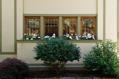 The Martin House
