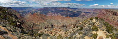 From Desert View
