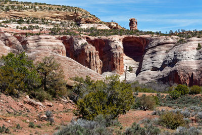 Red-rock butte, along Arizona Hiway 12