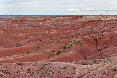 Painted Desert
