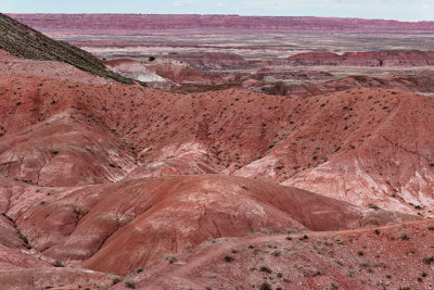 Painted Desert