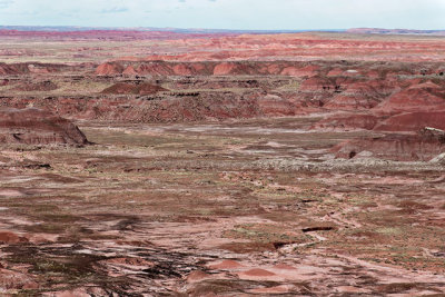 Painted Desert