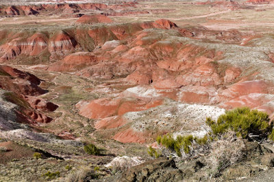 Painted Desert