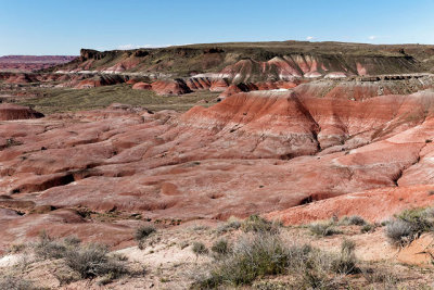 Painted Desert