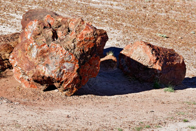 Petrified log
