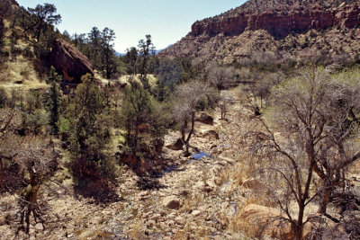 The Virgin River