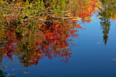 Lac Maill reflection