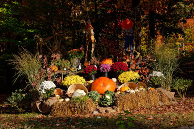 Thanksgiving