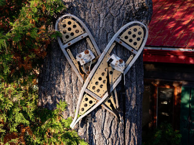 Snow shoes