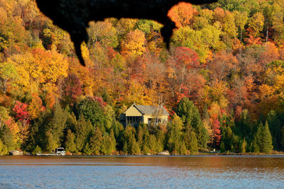 Lac Morency