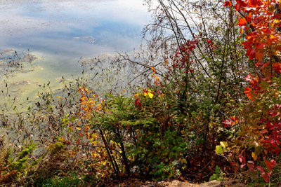 Lac Maskinong