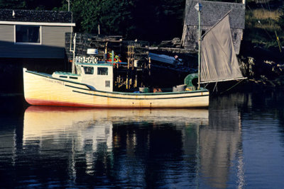 g12/52/833952/3/172774114.155xB6oL.jpg