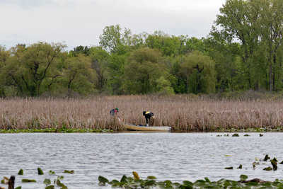 From Marsh Boardwalk