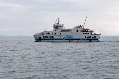 Pelee Islander II