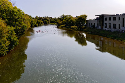 Conestoga River