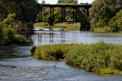 Conestoga River