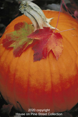 October's Song.jpg