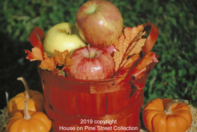 Harvest Bounty.jpg