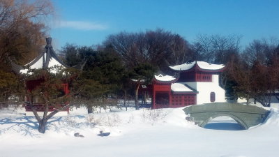 A20190223_133123.jpg