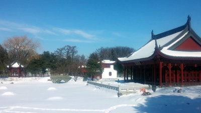A20190223_133316.jpg