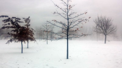A20180112_154103.jpg