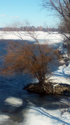 A20180325_133728.jpg