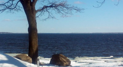 A20180325_143603.jpg