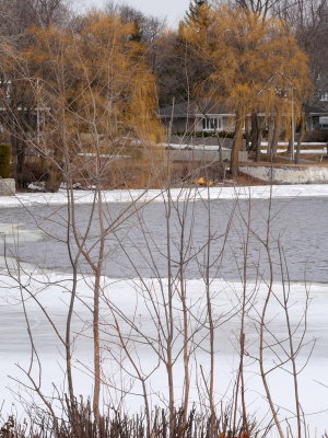 AP1000304.JPG